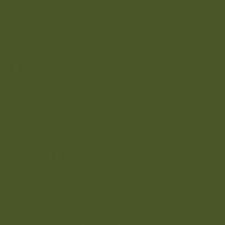 BS381-220 Olive Green Aerosol Paint